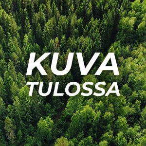 Paikanvaraus